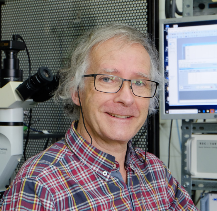 Prof. Alberto Pérez-Samartín